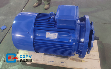 循環(huán)水泵離心泵電機